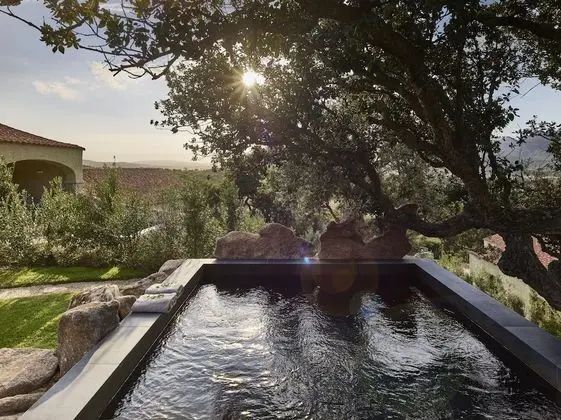 Deluxe Pool Suite, Private Pool