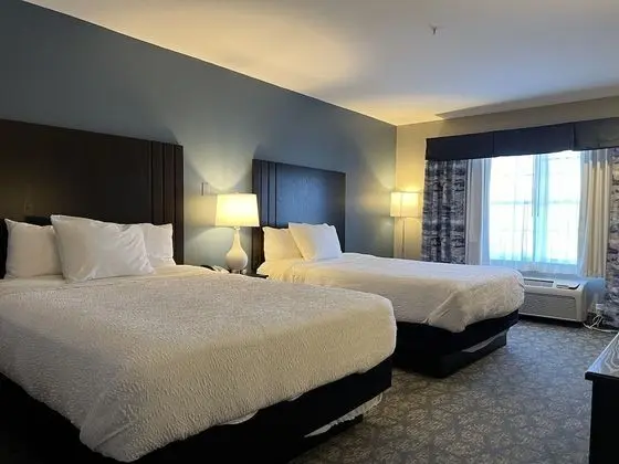 Deluxe Tek Büyük Yataklı Oda, 2 Büyük (Queen) Boy Yatak (2 Queen)