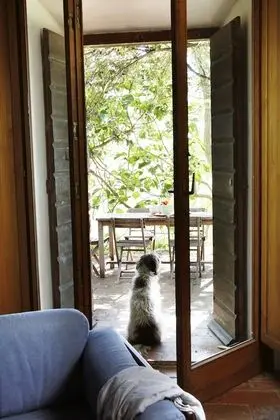Kır Evi, 3 Yatak Odası, Mutfak, Vadi Manzaralı (Sarperi)