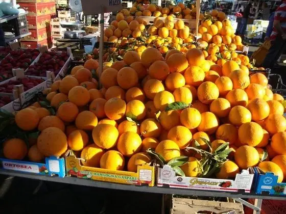 Ev, 1 Yatak Odası, Buzdolabı