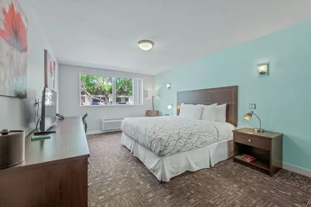 Garden View King Room