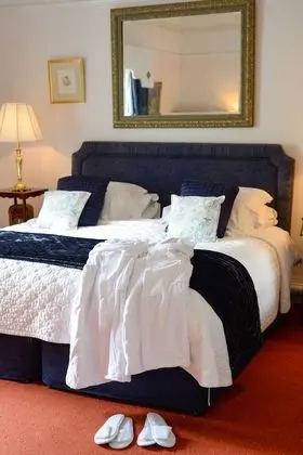 Superior Tek Büyük Yataklı Oda