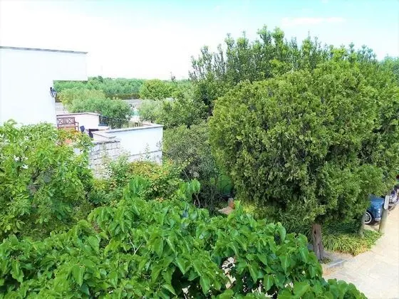 Üç Kişilik Oda, Avlu Manzaralı (Gialla)