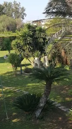 Tek Büyük Yataklı Oda, 1 Büyük (Queen) Boy Yatak, Ortak Banyo, Bahçe Manzaralı