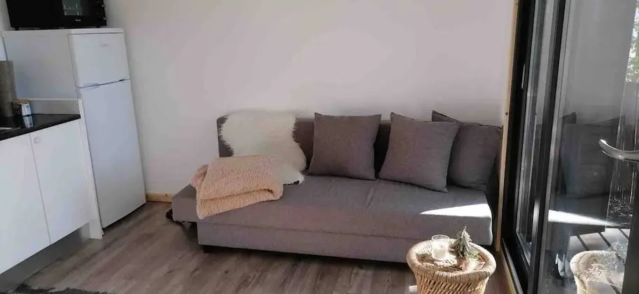 Çatı Katı (Loft), 1 Yatak Odası, Mikrodalga