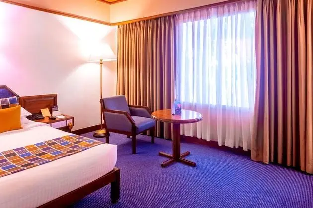 Superior Oda, Havuz Manzaralı