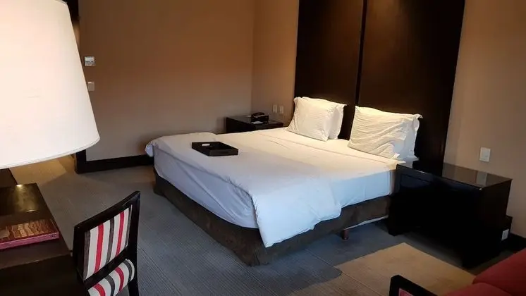 Superior Oda, 1 En Büyük (King) Boy Yatak, Havuz Manzaralı