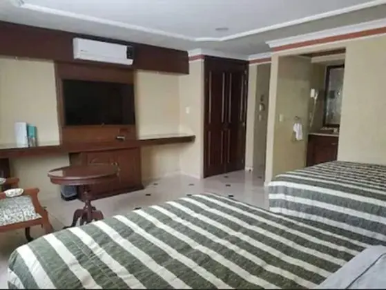 Executive Tek Büyük Yataklı Oda, Sigara İçilmez