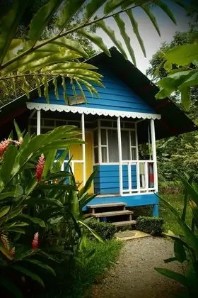 Bungalow Premium 4 Per (Kitchenette)