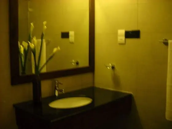 Deluxe İki Ayrı Yataklı Oda, Bahçe Manzaralı