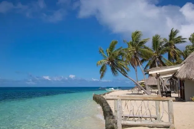 Oda (South Beach Bure)