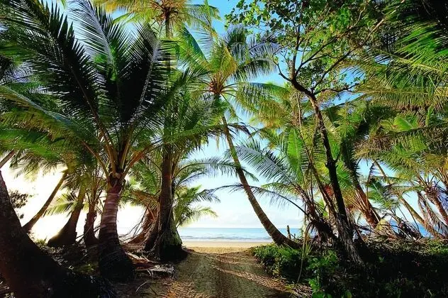 Ev, Plaj Kenarı