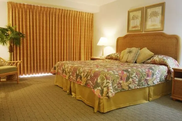 King Room 1 King Bed