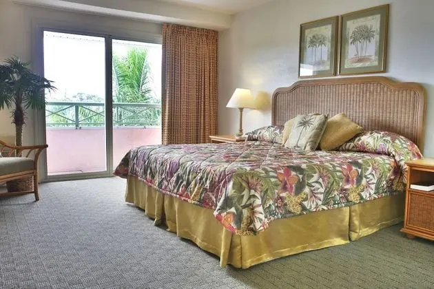 King Room 1 King Bed
