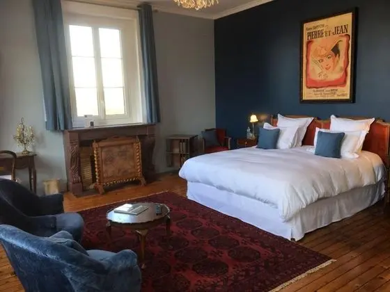 Deluxe Tek Büyük Yataklı Oda (Pierre & Jean)