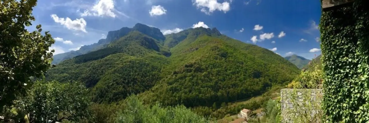 Apart Daire, 1 Büyük (Queen) Boy Yatak ve Çekyat