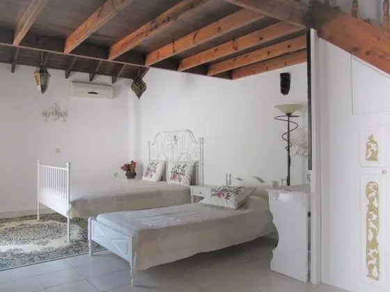 Design Çatı Katı (Loft)