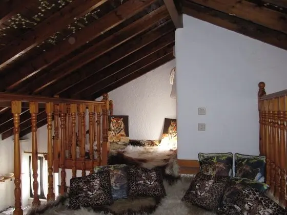 Design Çatı Katı (Loft)
