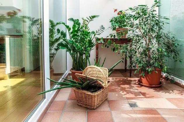 Exclusive Apart Daire