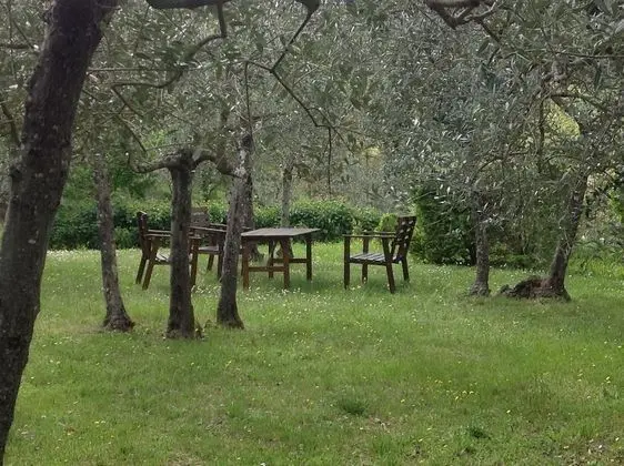 Apart Daire, 1 Yatak Odası (Carol)