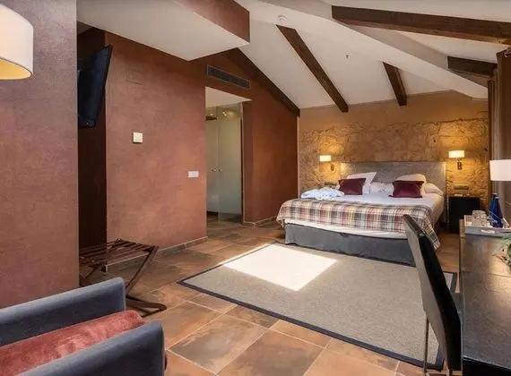 Superior Tek Büyük Yataklı Oda