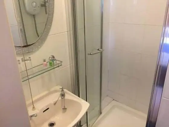 Tek Büyük Yataklı Oda, 1 Çift Kişilik Yatak