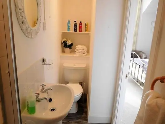 Deluxe Tek Büyük Yataklı Oda (3)