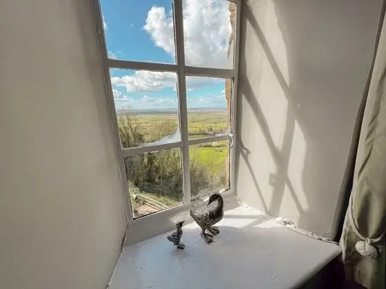 Tek Büyük Yataklı Oda, Banyolu/Duşlu (Large Four Poster)