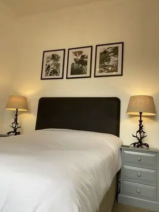 Tek Büyük Yataklı Oda (Room 3)