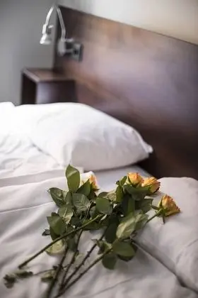 Economy Tek Büyük veya İki Ayrı Yataklı Oda, Ortak Banyo