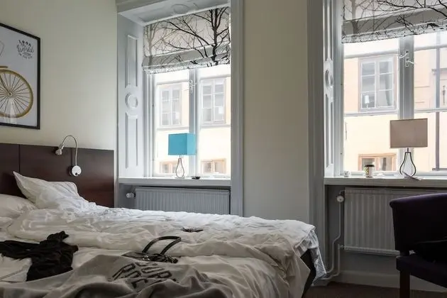 Standard Tek Büyük veya İki Ayrı Yataklı Oda, Banyolu/Duşlu