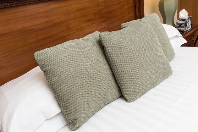 Standard Oda, 1 Çift Kişilik Yatak, Sigara İçilmez (Canopy Bed)