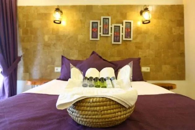 https://images.odamax.com/img/1920x1080/odamax/image/upload/CASTLE_NOLANA_HOTEL_HORSE_CLUB_A_VA_202606151829536_castlenolanaf0dd7736.jpg