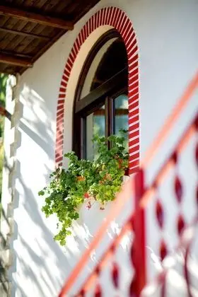 Comfort Apart Daire, 2 Yatak Odası