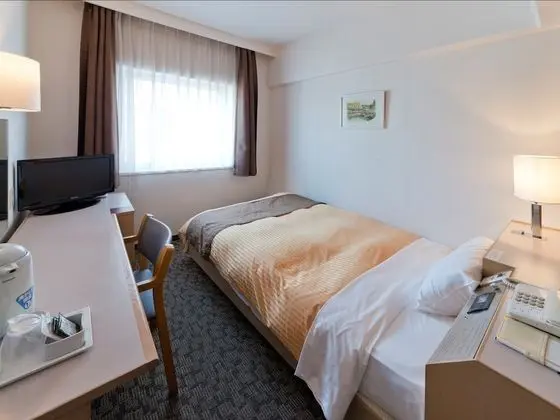 Standard Tek Kişilik Oda, 1 Tek Kişilik XL Yatak, Sigara İçilmez