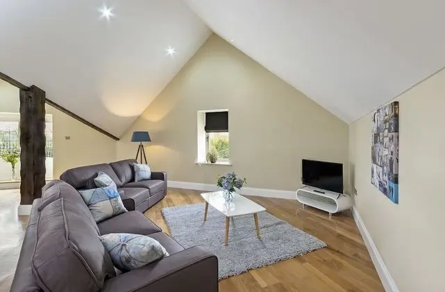 Superior Çatı Katı Süiti (Penthouse), 1 En Büyük (King) Boy Yatak, Balkon, Dağ Manzaralı