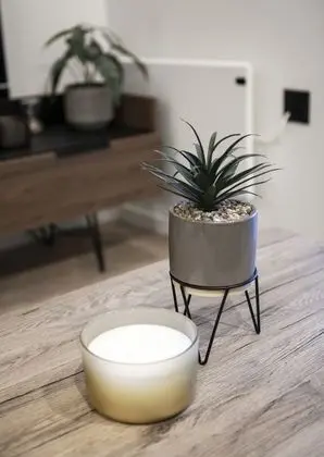 Executive Apart Daire, Banyolu/Duşlu, Şehir Manzaralı (Castlefield)