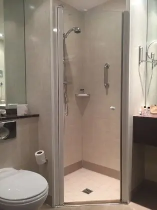 Executive Tek Büyük Yataklı Oda, 1 En Büyük (King) Boy Yatak