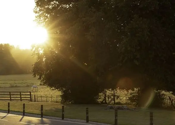 Oda (Manor Stateroom)