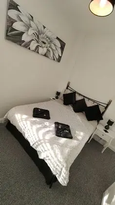 Tek Büyük Yataklı Oda, 1 Çift Kişilik Yatak (1 Adult and 1 Child)
