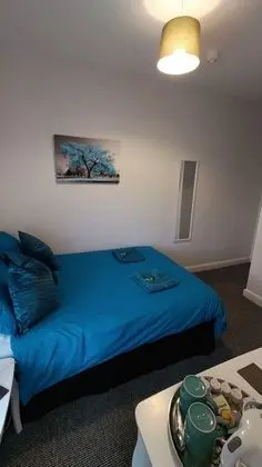Tek Büyük Yataklı Oda, 1 Çift Kişilik Yatak (1 Adult and 1 Child)