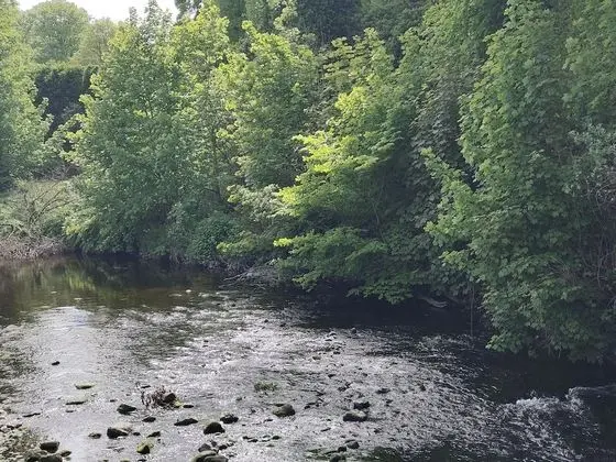 Ev, Birden Çok Yatak