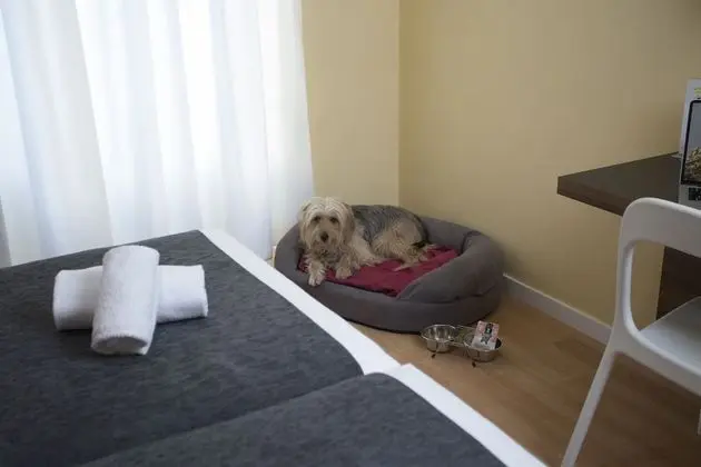 Basic Tek Büyük Yataklı Oda