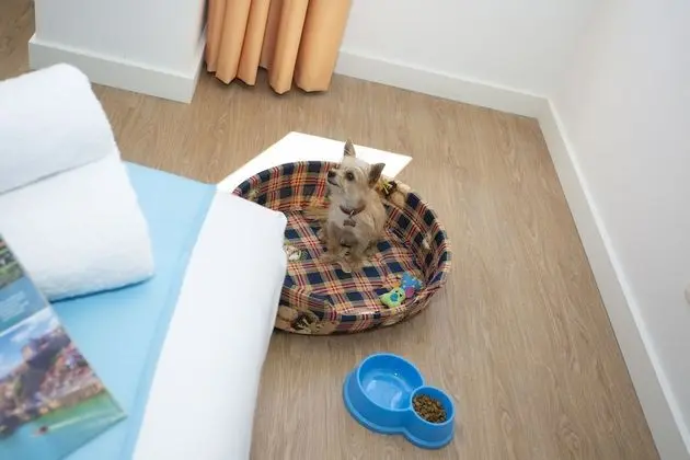 Tek Büyük Yataklı Oda, 2 Tek Kişilik Yatak