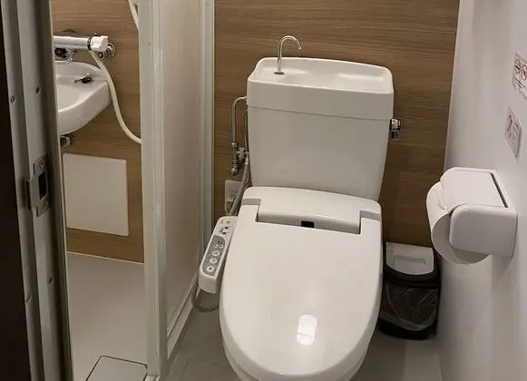 Standard Tek Büyük Yataklı Oda, Sigara İçilebilir (Shower Only)