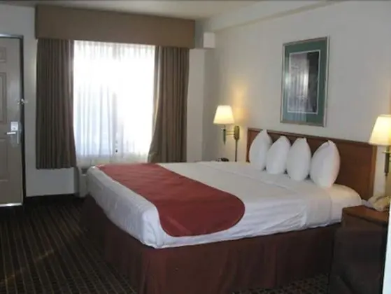 Traditional Oda, 1 En Büyük (King) Boy Yatak