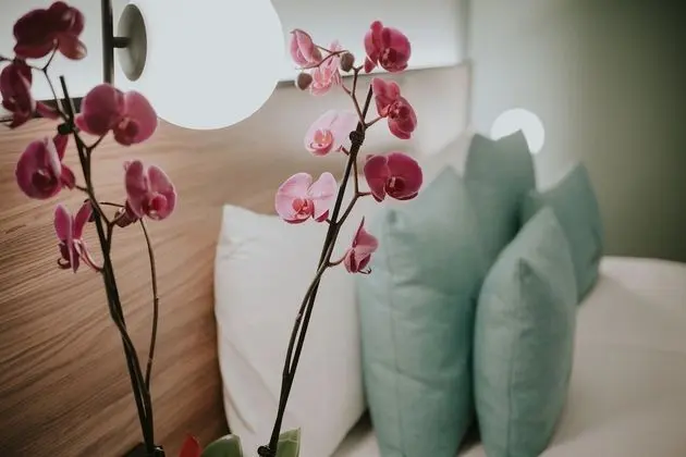 Comfort Tek Büyük Yataklı Oda, 1 Yatak Odası