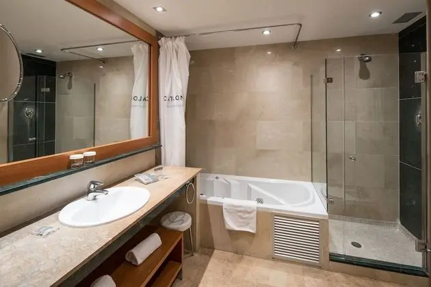 Superior Büyük Yataklı Tek Kişilik Oda, Teras