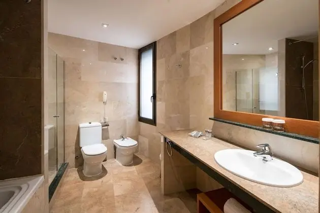 Superior Büyük Yataklı Tek Kişilik Oda, Teras