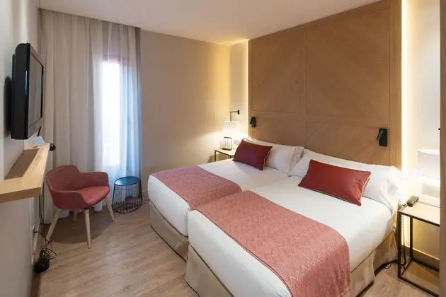 Executive Tek Büyük Yataklı Oda (single use)